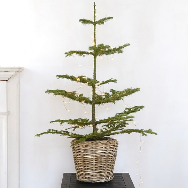 Minimalist Christmas tree in a basket