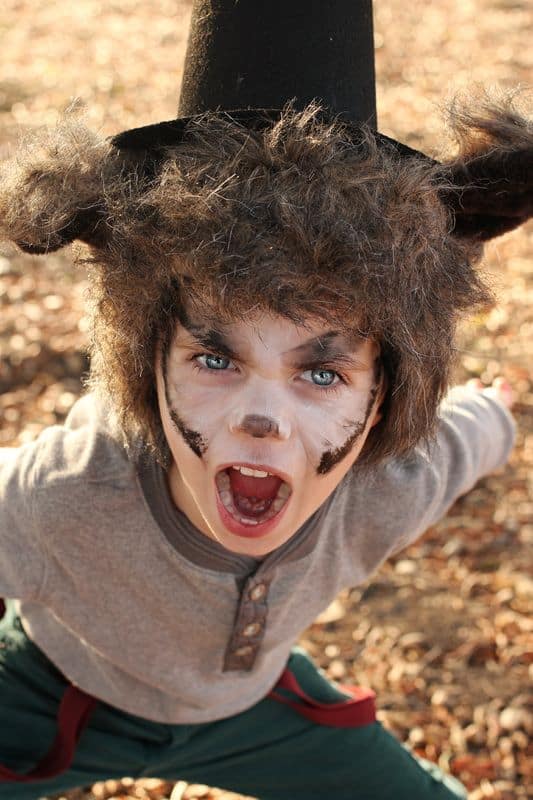 big wolf child costume