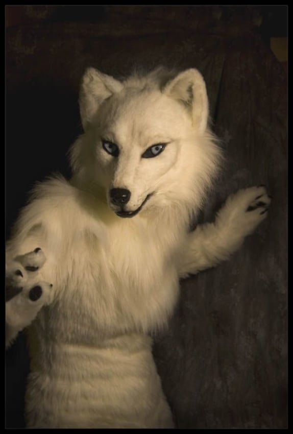 realistic white wolf fantasy