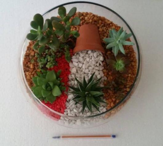 A beautiful souvenir with cacti and succulents planted
