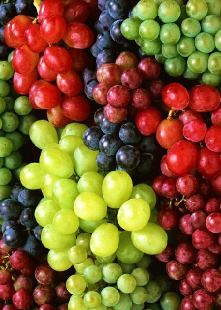 Photo of bunches of grapes of various shades.