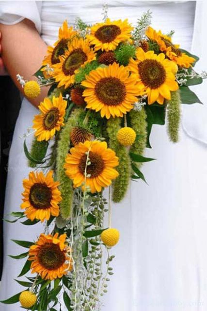 sunflower bouquet 2