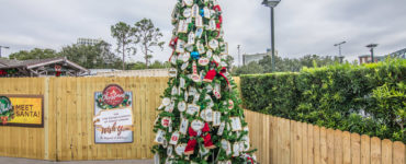 Are the trees up at Disney Springs?