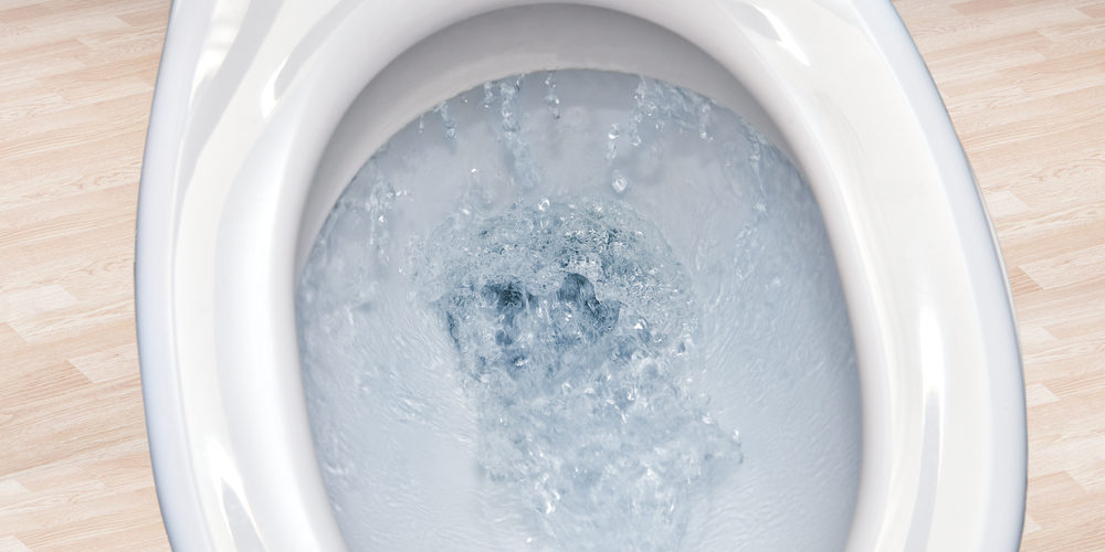 Can I flush water beads down the toilet?