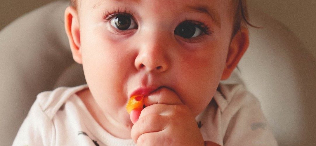 Can babies eat cake at 12 months?