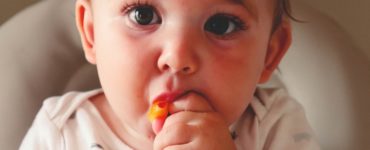Can babies eat cake at 12 months?