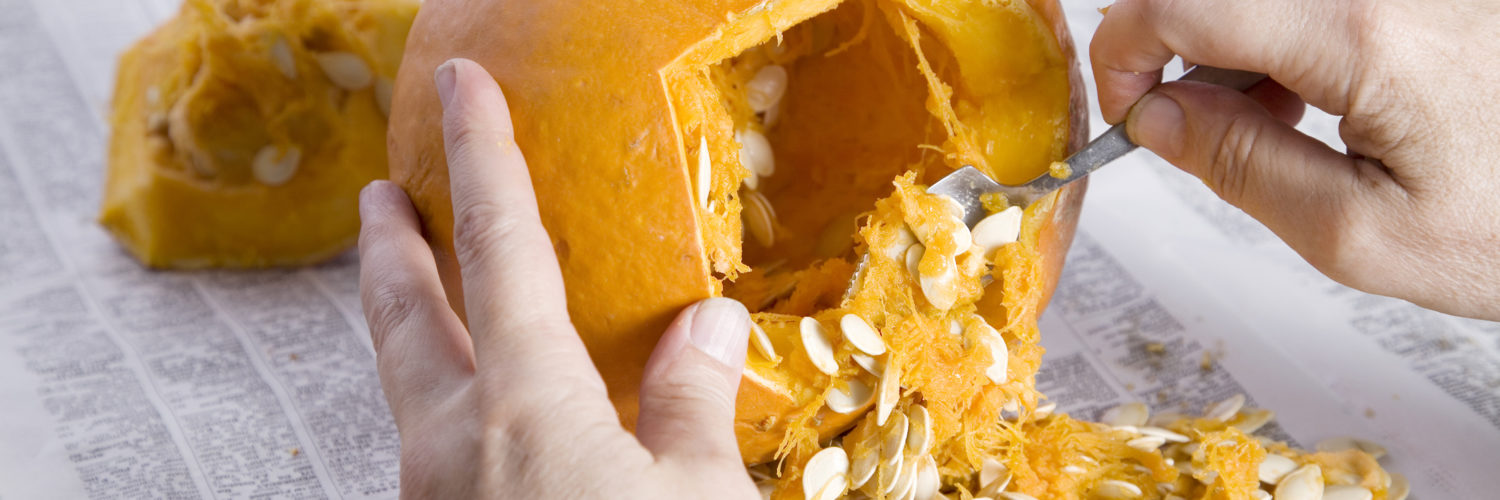 Can you put pumpkins in the garbage?