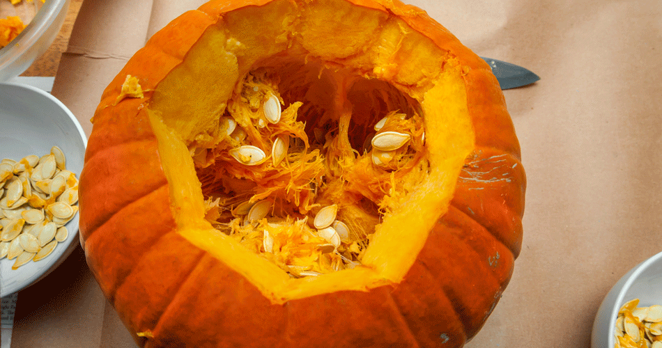 Can you use carving pumpkins to cook?