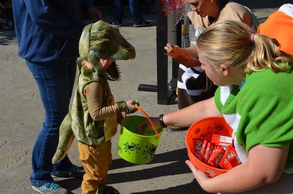 Do adults dress up for Boo at the Zoo?