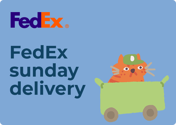 Does FedEx run on Sundays?