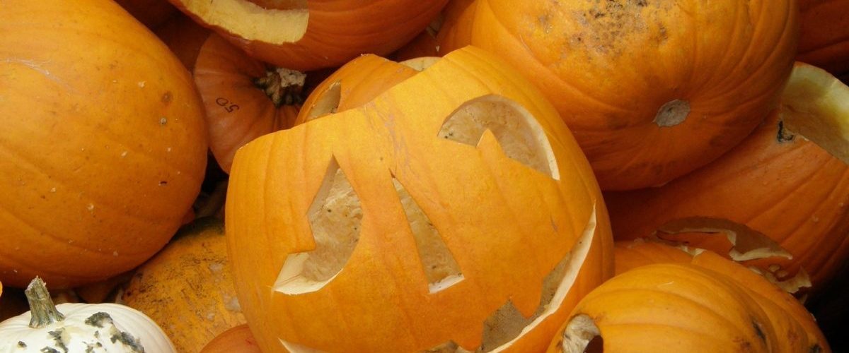 How do you dispose of pumpkins after Halloween?