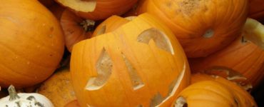 How do you dispose of pumpkins after Halloween?