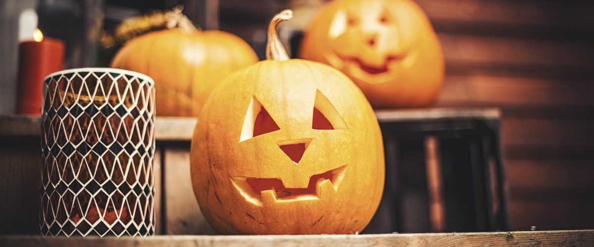 How do you dispose of pumpkins after Halloween UK?