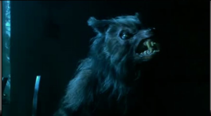 How do you identify a werewolf in human form?