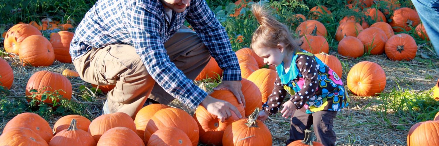 How long does pumpkin last after picking?