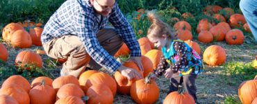 How long will a pumpkin keep after picking?