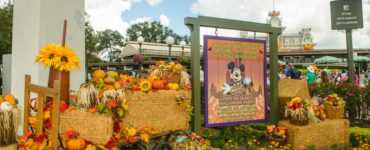Is Disney decorated for Halloween in September?
