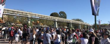 Is Disneyland crowded on Halloween?