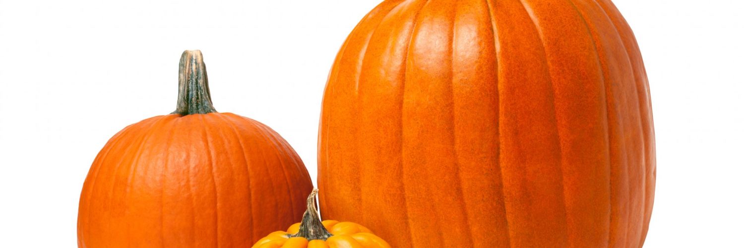 Is pumpkin a fruit or veggie?