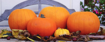 What age can carve pumpkins?