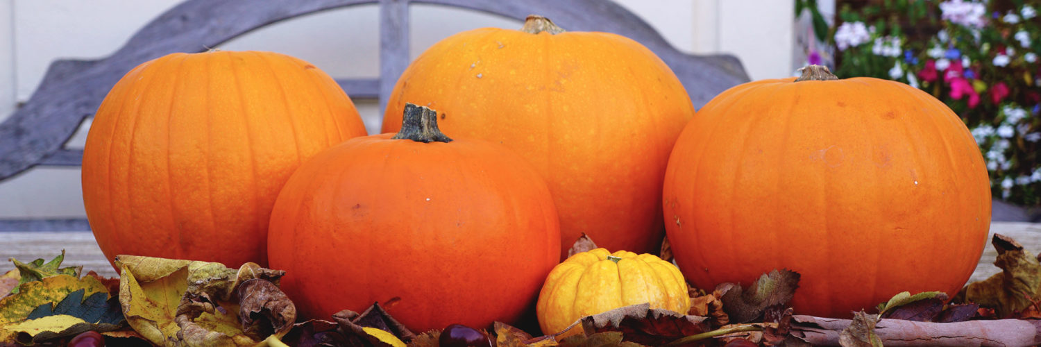 What age can carve pumpkins?