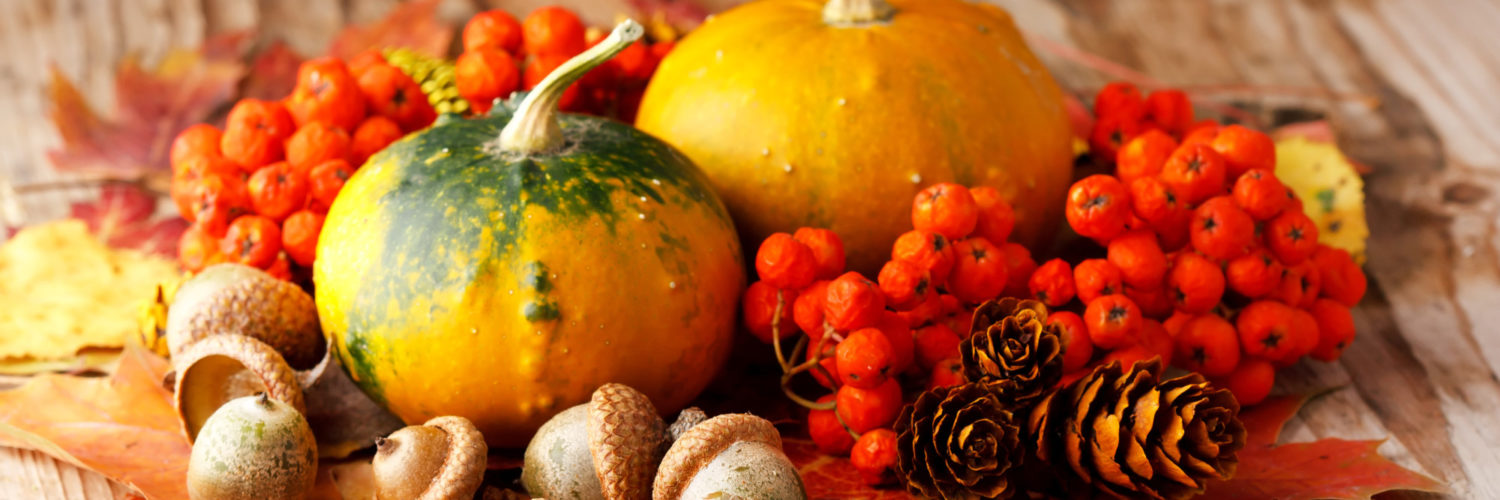 What are fall foods?