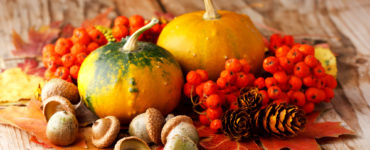 What are fall foods?