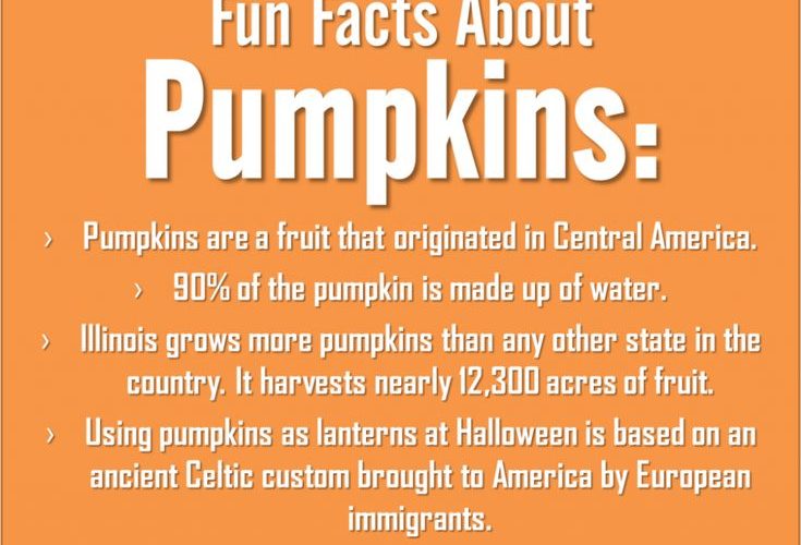 What are interesting facts about Halloween?