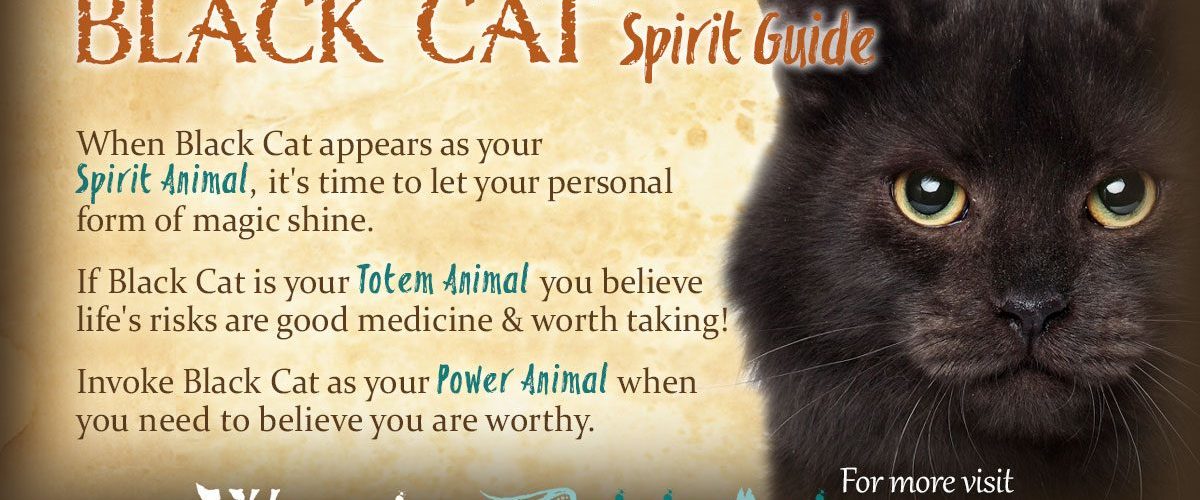 What do black cats symbolize?