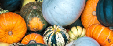 What do black pumpkins mean?