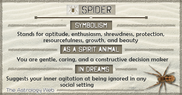 What does seeing a spider mean spiritually?