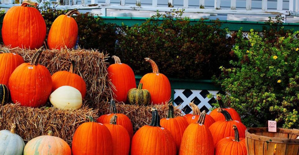 What is Halloween called in Quebec?