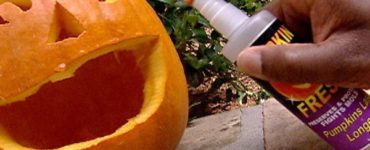 What to spray inside pumpkin to keep from rotting?