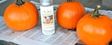 What to spray on pumpkins to preserve them?