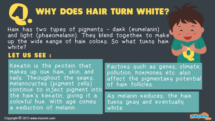 Why does hair turn white?